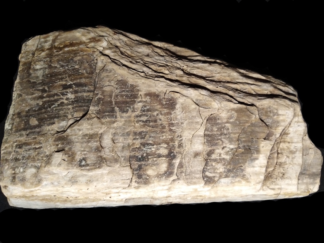 wood 002a